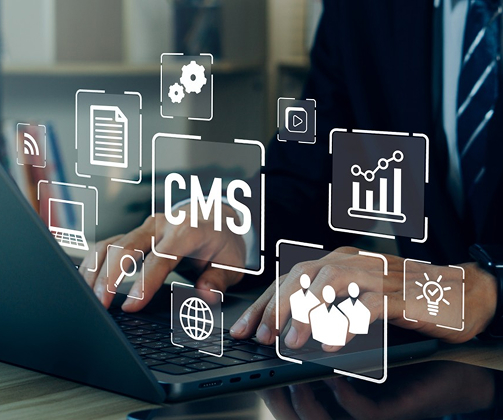 Custom CMS for a Government IT Portal