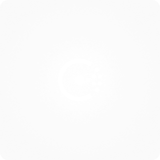 Consul