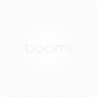 Dell Boomi