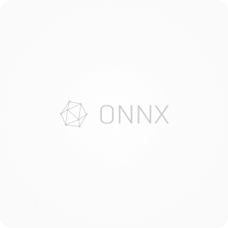 ONNX