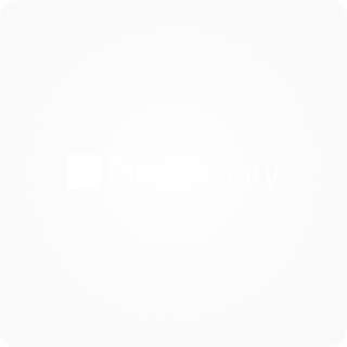Ping Identity