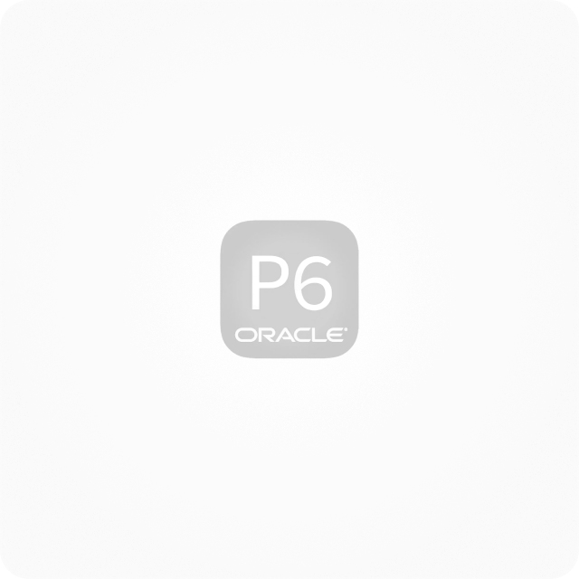 Primavera P6